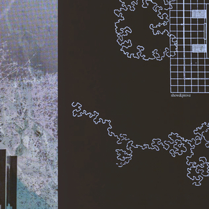 张柏芝性做爰A片
